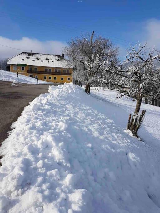 Ferienhof Am Landsberg Obergrünburg Exteriér fotografie